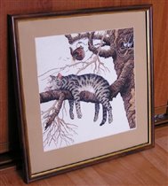 Кот на ветке.