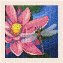 Dragonfly and Waterlily
