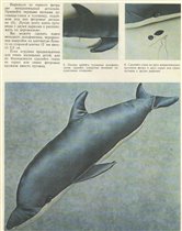 Стр.19-Дельфин