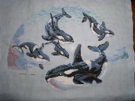 Circle of Whales