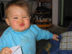 Забавная мордаха