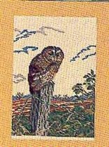 12 963 Owl