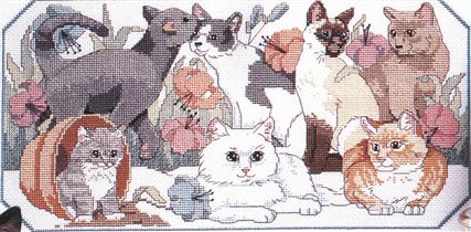 Cats (Dim00211)