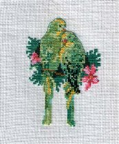 Попугайчики