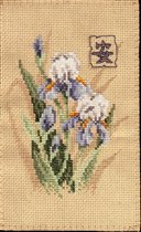 Oriental Iris (без бэкстича)