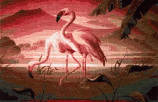 Фламинго