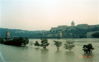 Выше воды лишь верхушки деревьев