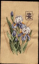 DMS6869 Oriental Irises(с backstitch)