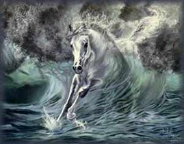 caballo blanco y mar