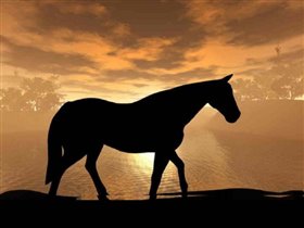 caballo y atardecer