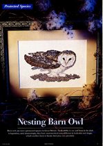 NSK110 Nesting Barn Owl