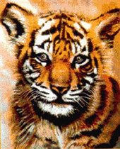 016. Baby Tiger
