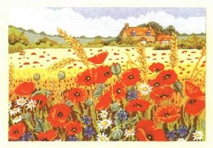 anchor-poppies field