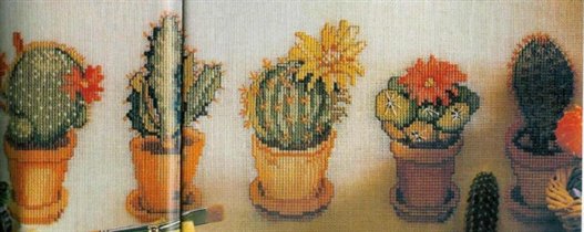cactus-03