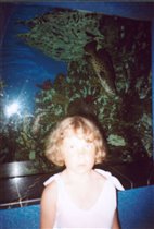 В Аквариуме