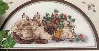 Семейство(з)