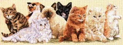 Kittens in a row (з)