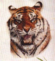 028. Оскал тигра