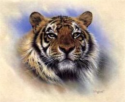 029. Красивый тигр
