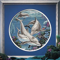 dancing dolphin cd.a