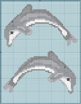 delfines 5