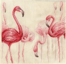Розовые Фламинго