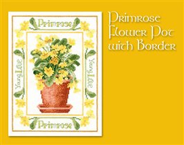 primrose flowerpot