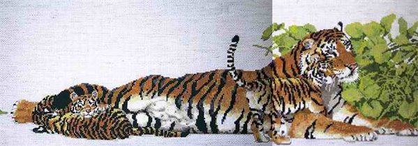 041. Тигрица с тигрятами