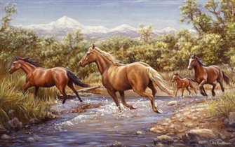 Лошади переходят вброд