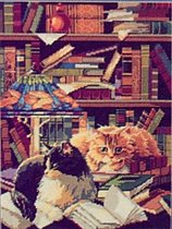 'Коты в библиотеке'