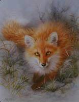 fox Autumn Prince 