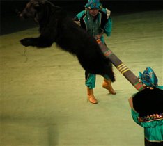 Летящий медведь 