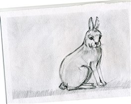 Заяц - в натуре кролик.