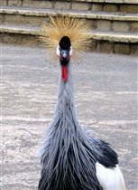 Позируем туристам