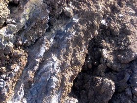 Земля Тенерифа