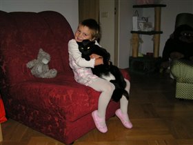 Лиза и кот. Чужой.