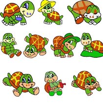 Sweet Turtle