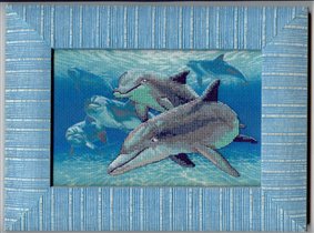Глубоководные дельфины/Deep Sea Dolphins