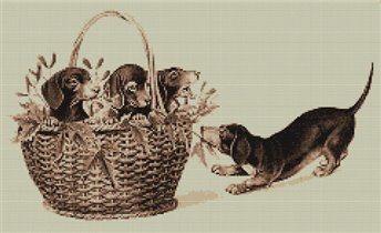 Dachshunds in the Basket