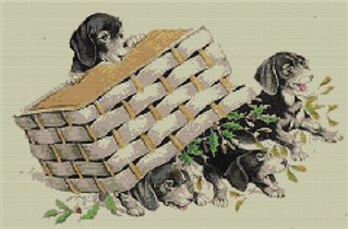 Dachshunds Under the Basket