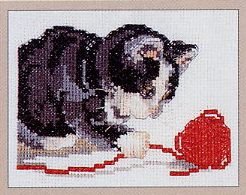 Anchor Playful Kitten