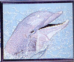 дельфинчик