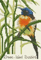 Green-Tailed Sunbird