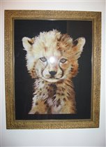 Оформление гепарденка