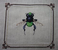 Emerald Orchid Bee (Dimples Designs)