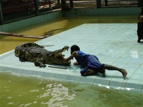 Крокодилий фистинг