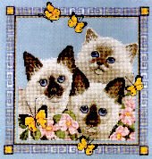 Butterfly Cats