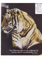 062. Wild Jungle Tiger