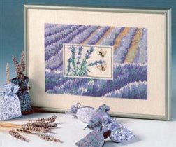 69. ooe 57118   lavender fields