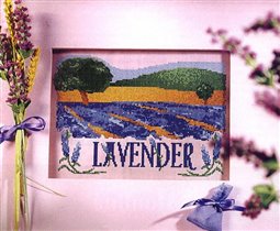 75. profilo lavender fields 01